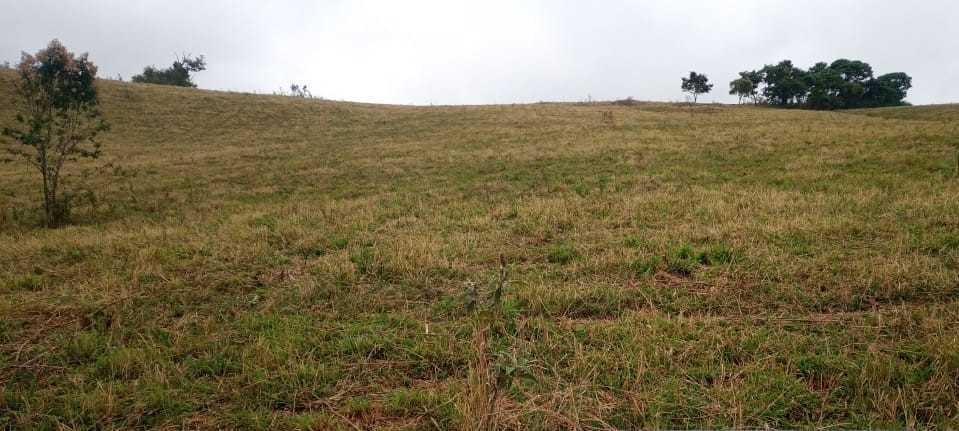 Fazenda, Centro, 0 Quarto, 0 Vaga