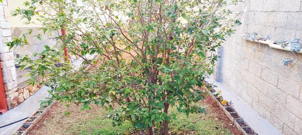 Casa, Jardim Atlântico, 5 Quartos, 6 Vagas, 1 Suíte