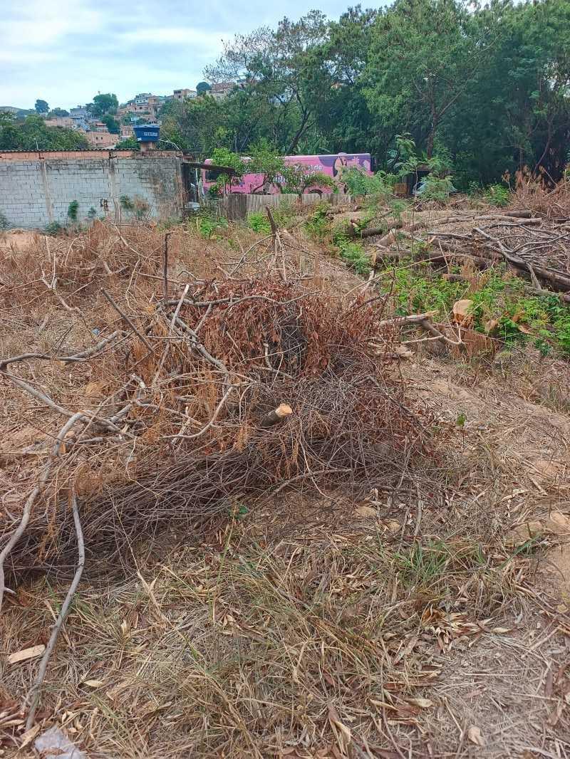 Lote, Fonte Grande, 0 Quarto, 0 Vaga