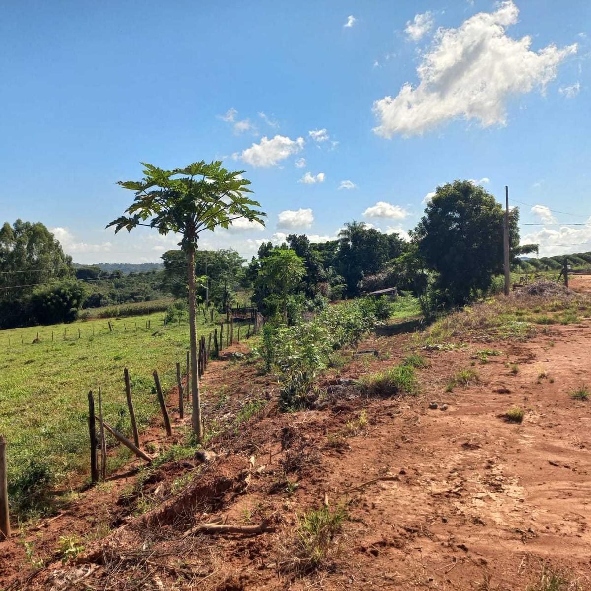 Fazenda, Zona Rural, 0 Quarto, 0 Vaga