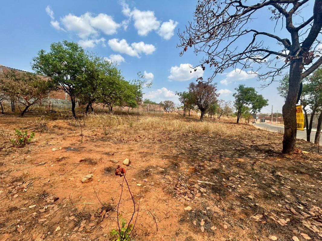 Lote, Vila dos Ipês, 0 Quarto, 0 Vaga