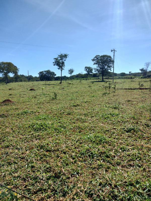 Fazenda, Centro, 0 Quarto, 0 Vaga