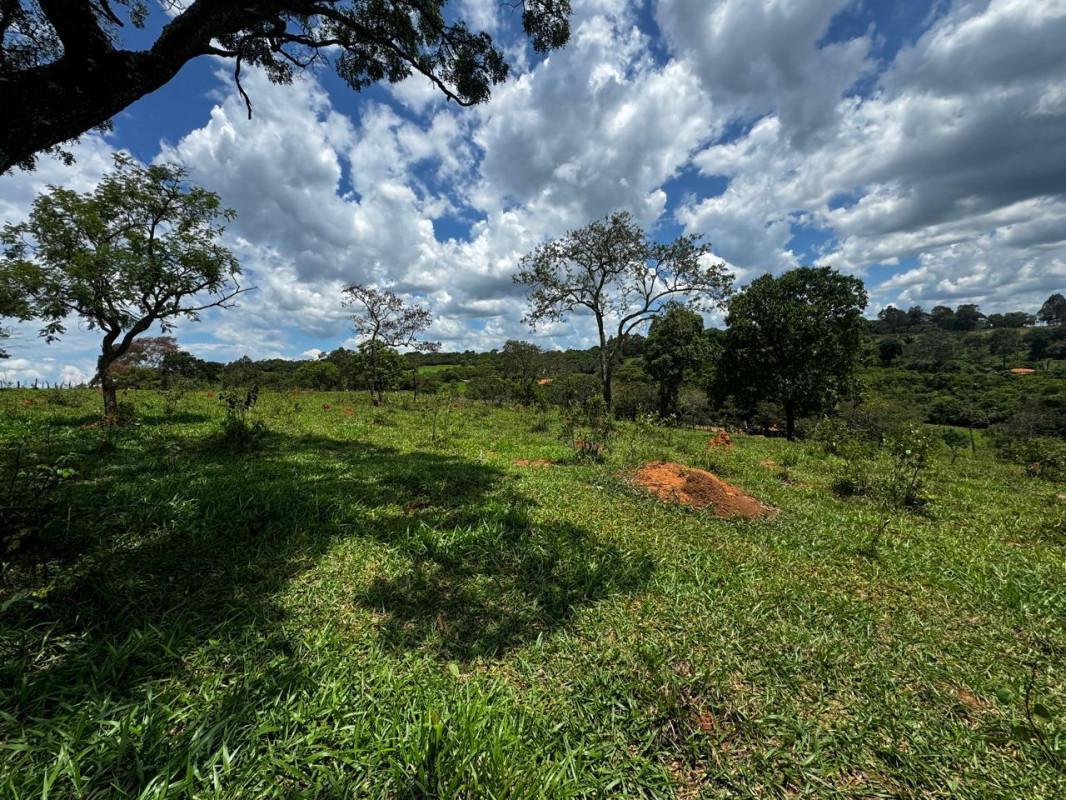 Lote, Centro, 0 Quarto, 0 Vaga
