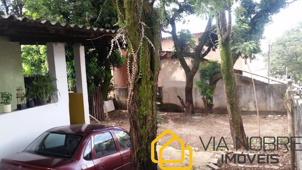 Lote, Palmeiras