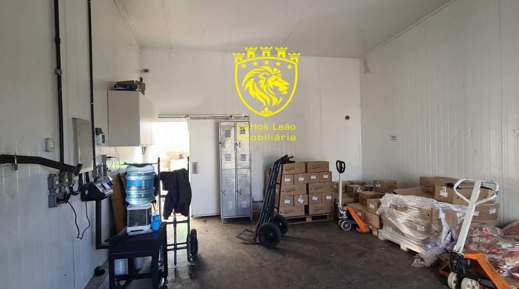 Galpão, Havaí, 9 Quartos, 12 Vagas, 1 Suíte