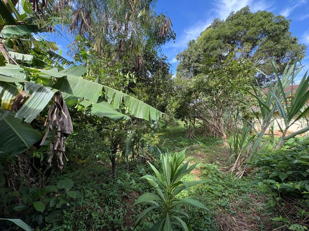 Fazenda, Bom Jardim, 0 Quarto, 0 Vaga
