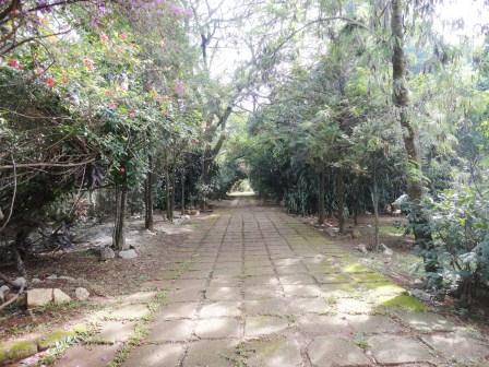 Lote, Lua Nova da Pampulha