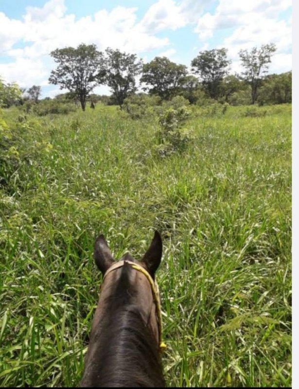 Fazenda, Centro, 0 Quarto, 0 Vaga