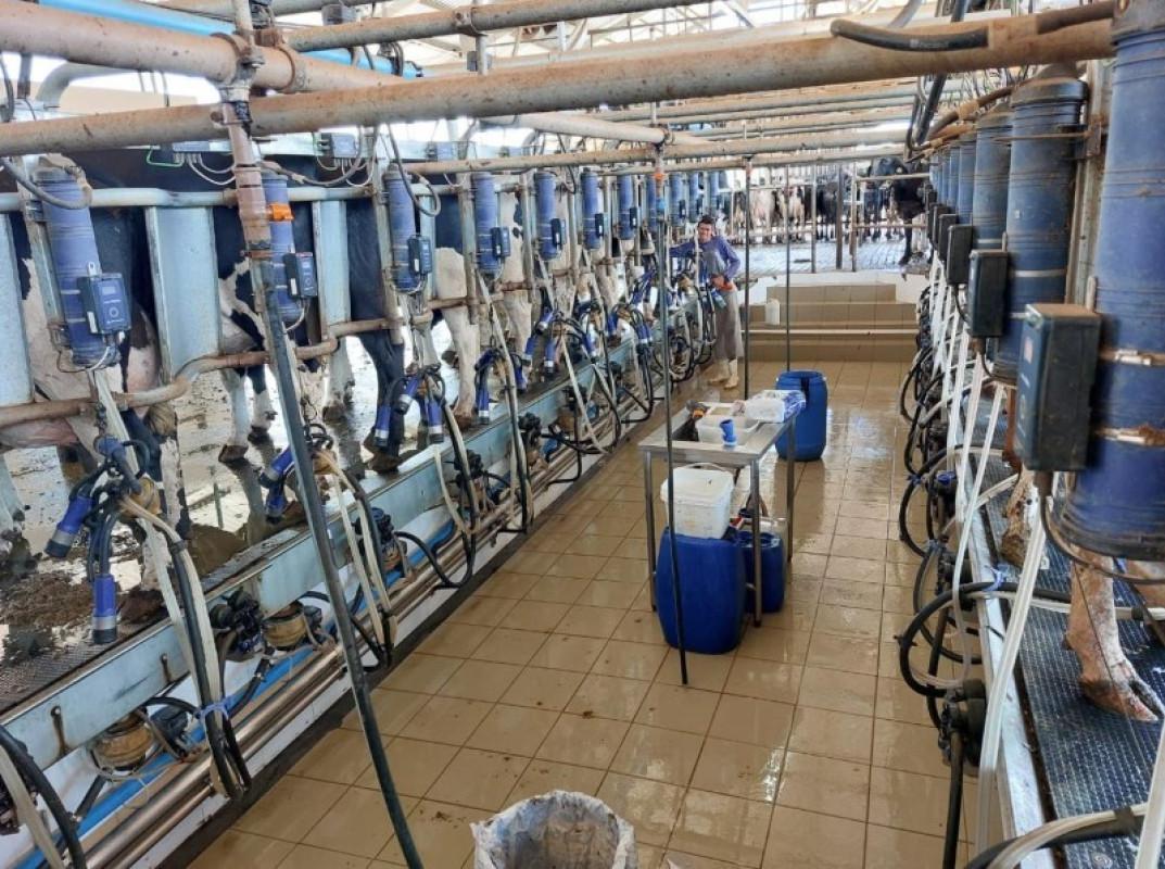 Fazenda, Zona Rural, 0 Quarto, 0 Vaga