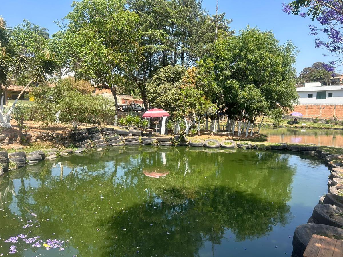Lote, Trevo, 5 Quartos, 5 Vagas