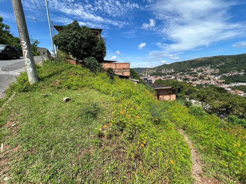 Lote, Vila Santo Antônio de Pádua, 0 Quarto, 0 Vaga