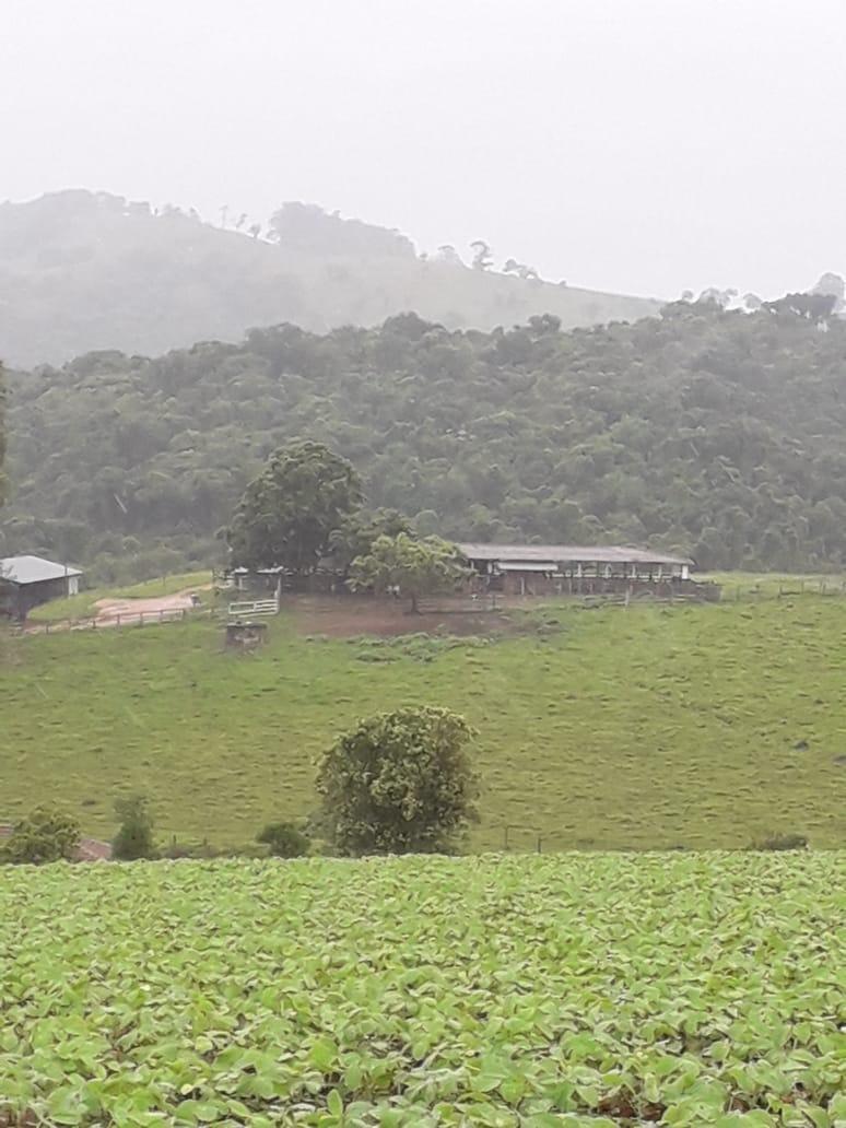 Fazenda, Centro, 1 Quarto, 1 Vaga, 1 Suíte
