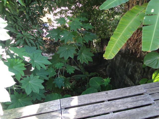 Casa, Sagrada Família, 4 Quartos, 2 Vagas