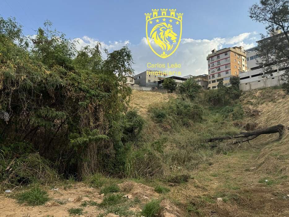 Lote, Palmeiras, 0 Quarto, 0 Vaga