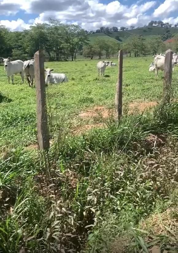 Fazenda, Zona Rural, 3 Quartos, 0 Vaga
