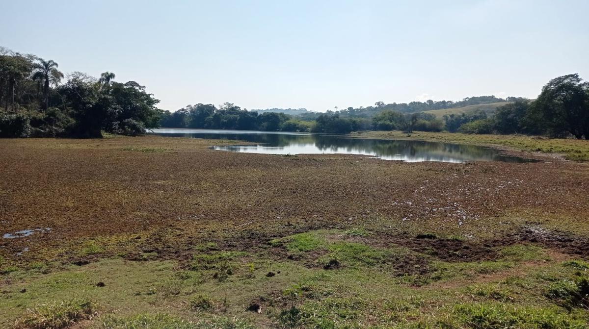 Fazenda, Zona Rural, 0 Quarto, 0 Vaga