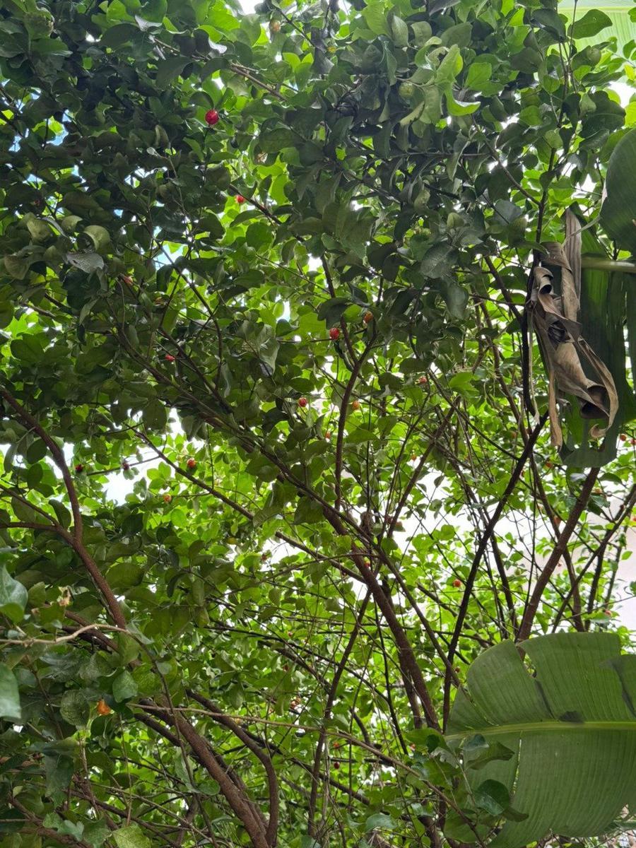 Apartamento, Sagrada Família, 1 Quarto, 1 Vaga