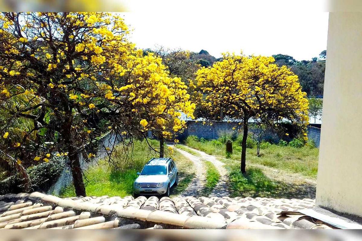 Casa, Braúnas, 4 Quartos, 5 Vagas, 1 Suíte