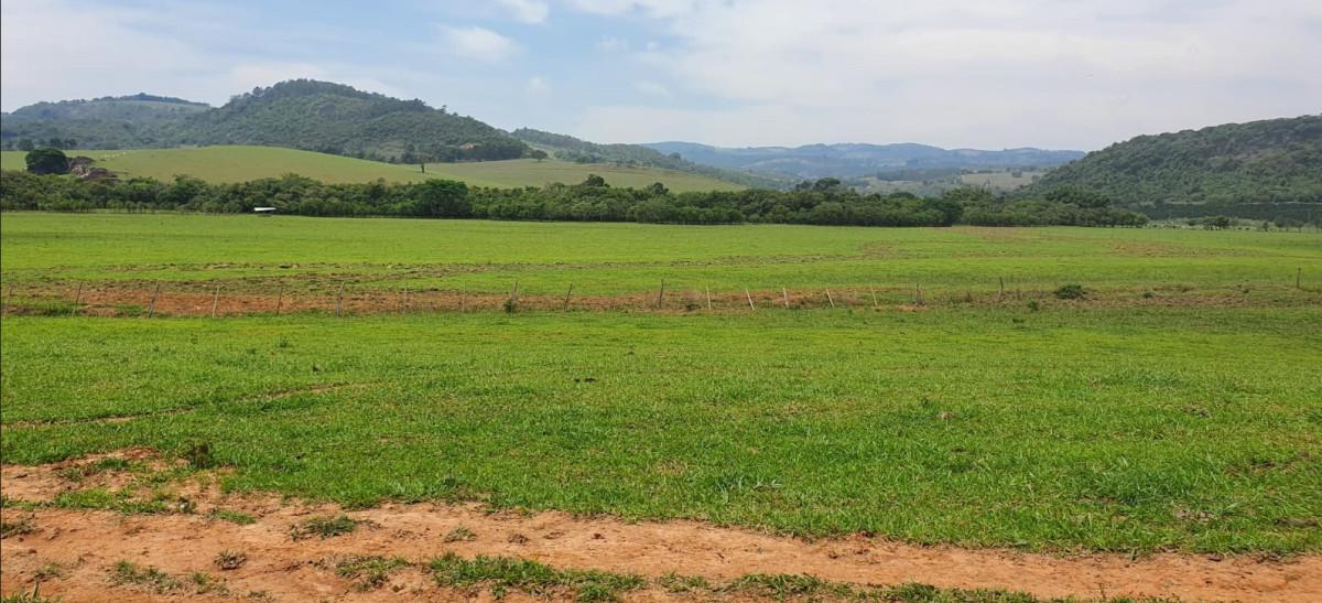 Fazenda, Zona Rural, 3 Quartos, 0 Vaga, 1 Suíte