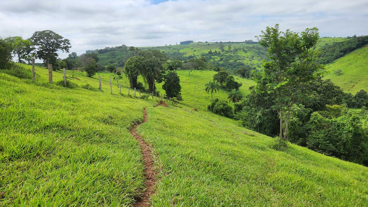Fazenda, Zona Rural, 1 Quarto, 0 Vaga