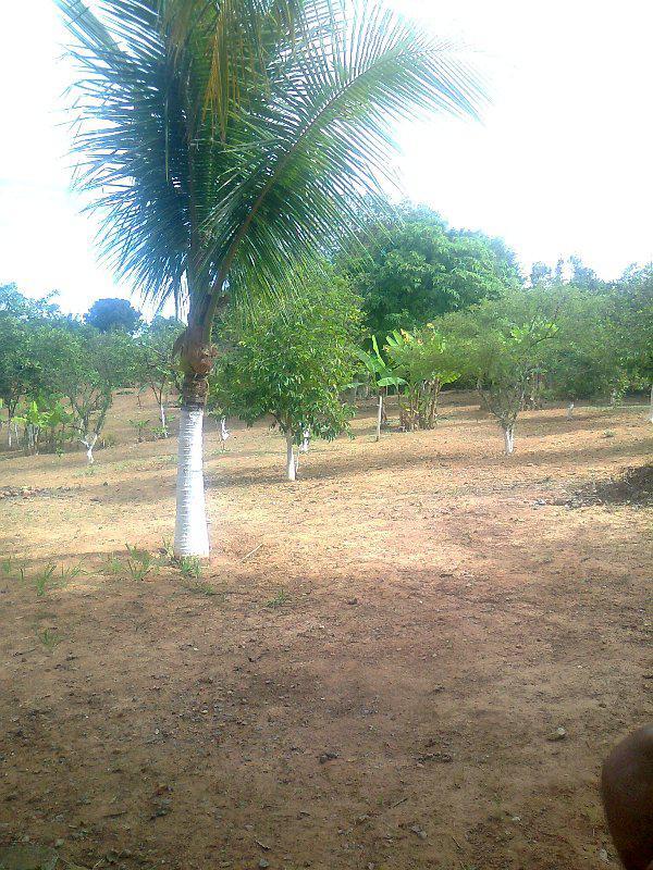 Fazenda, Centro, 5 Quartos, 5 Vagas, 1 Suíte