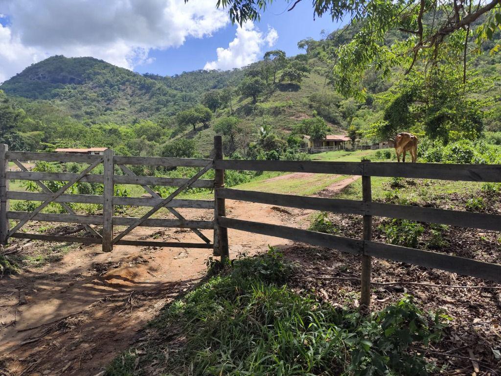 Fazenda, Centro, 3 Quartos, 0 Vaga, 1 Suíte