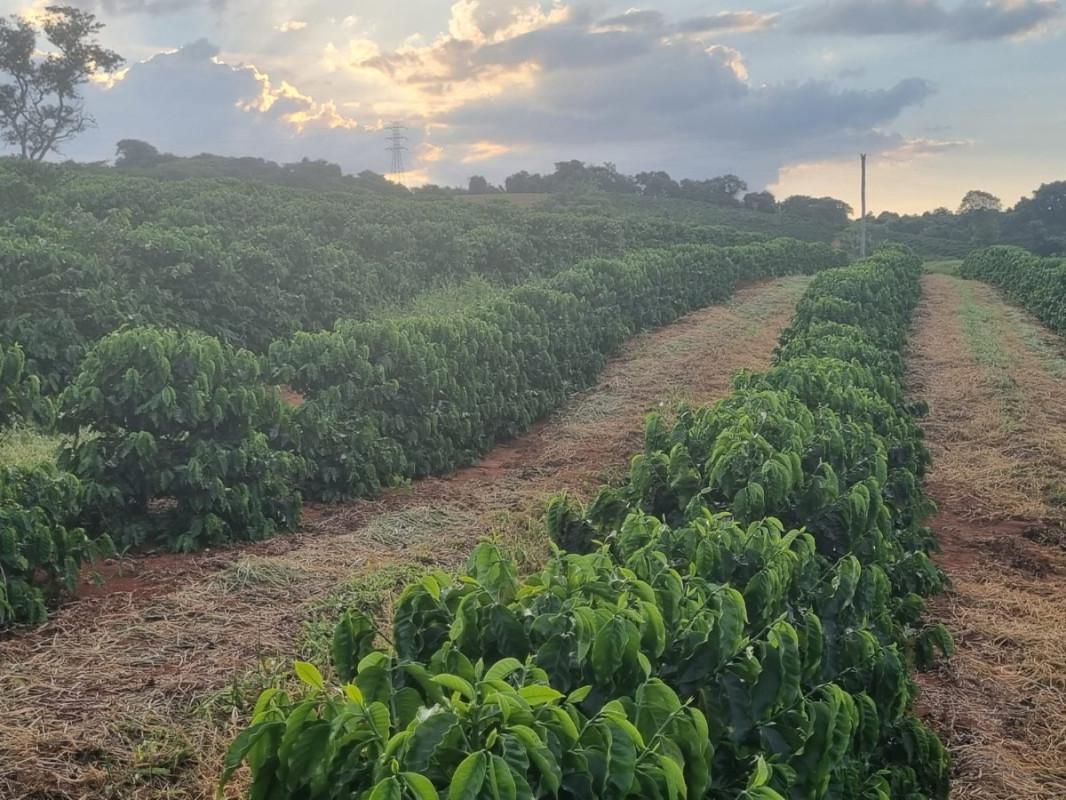 Fazenda, Zona Rural, 0 Quarto, 0 Vaga