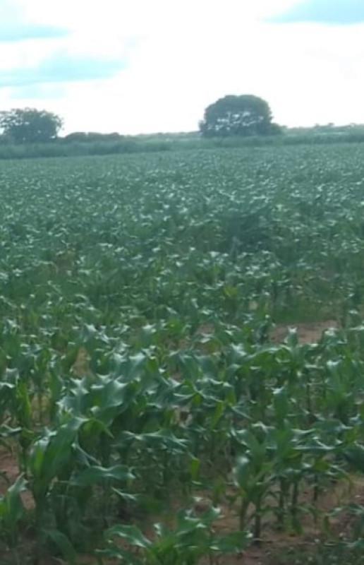 Fazenda, Zona Rural, 0 Quarto, 0 Vaga