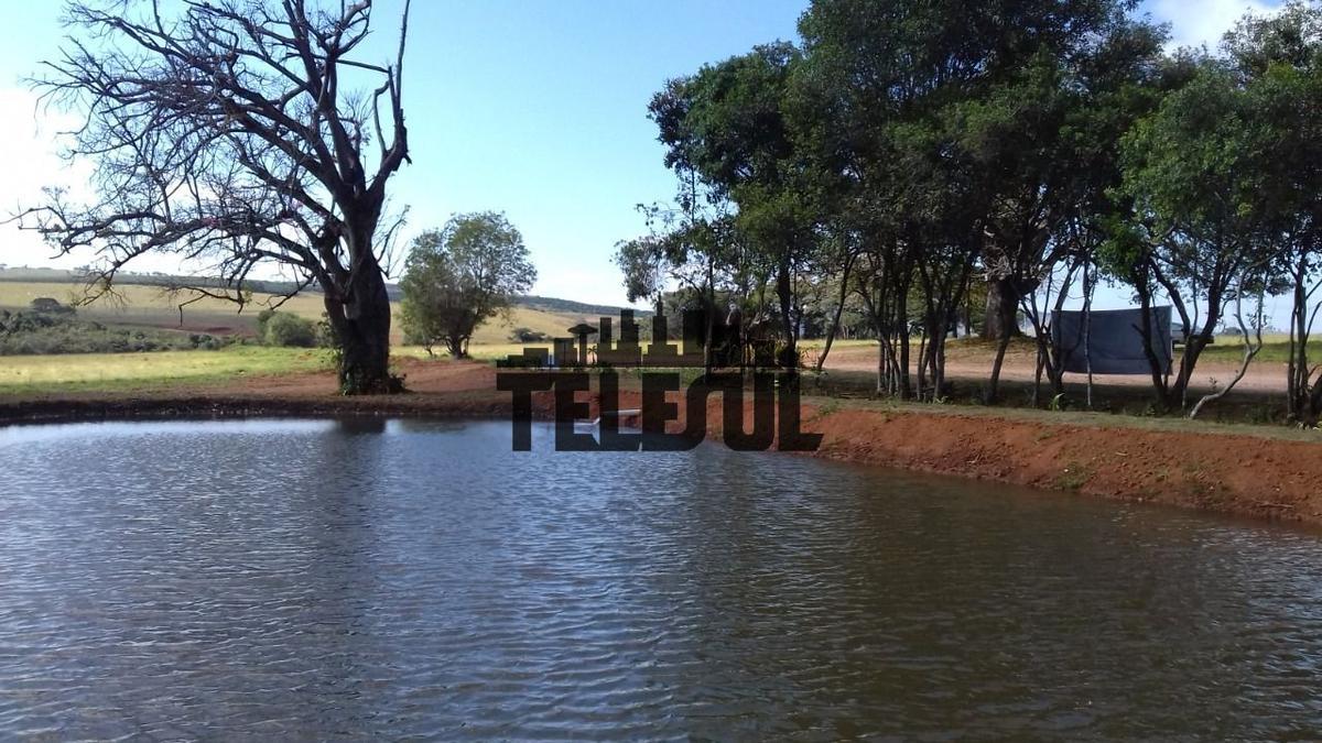 Lote, Zona Rural, 0 Quarto, 0 Vaga