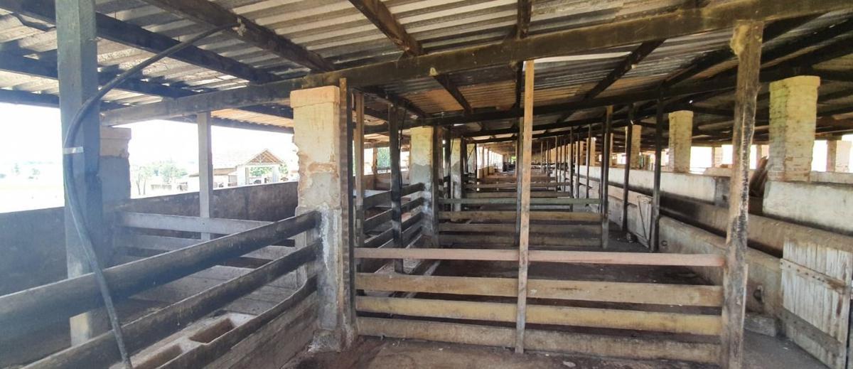 Fazenda, Centro, 4 Quartos, 2 Vagas, 1 Suíte