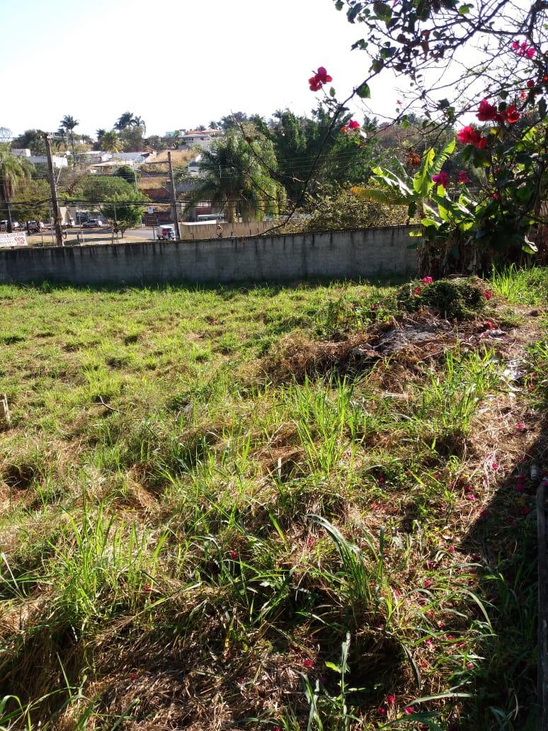 Lote, Copacabana