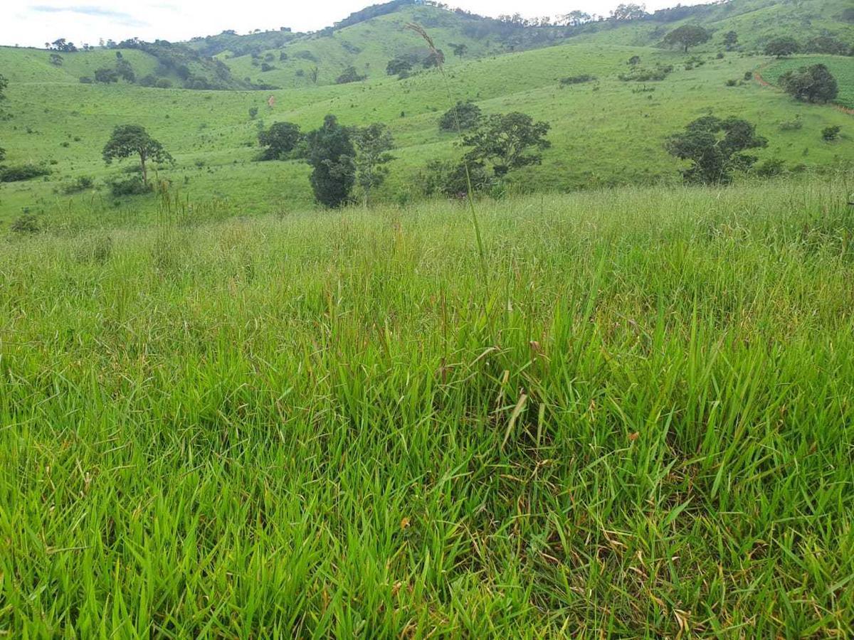 Fazenda, Zona Rural, 4 Quartos, 0 Vaga