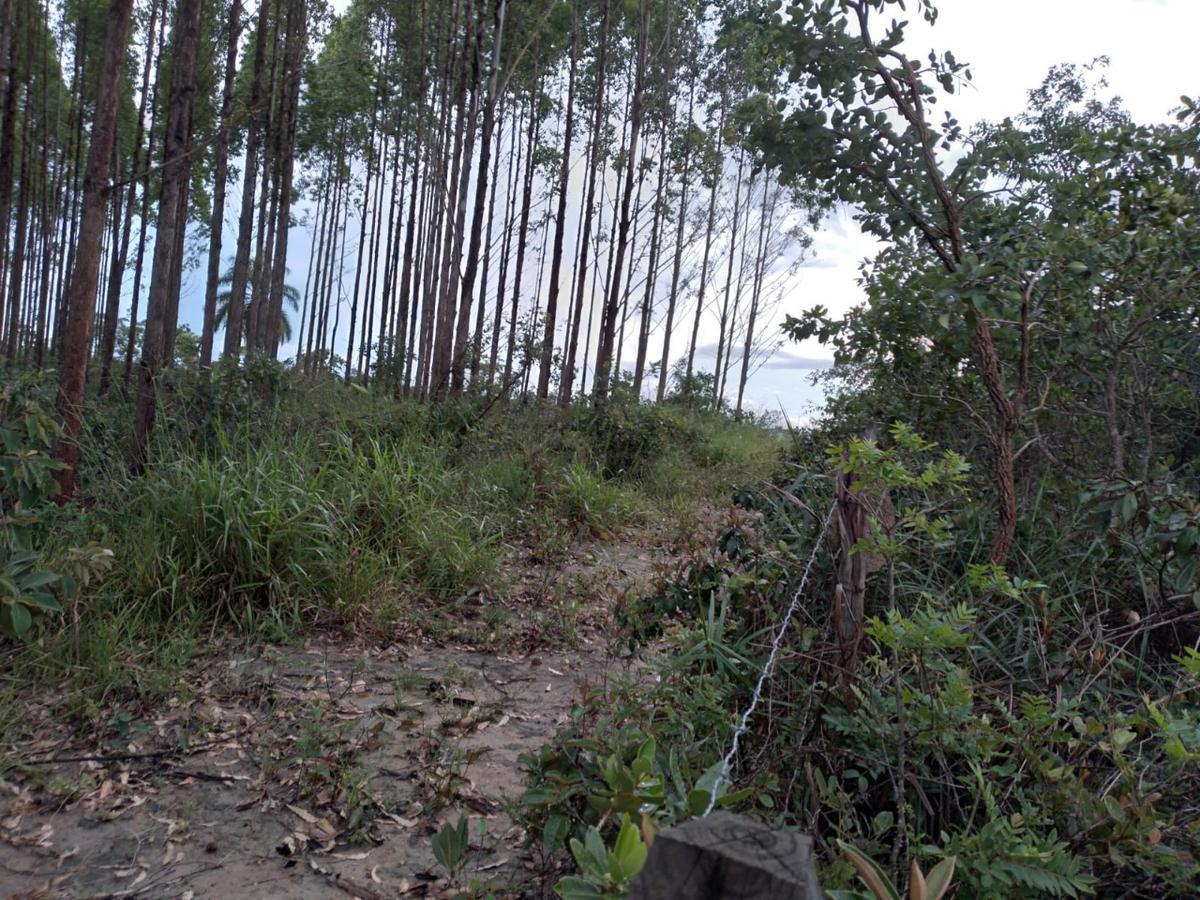 Lote, Zona Rural, 0 Quarto, 0 Vaga