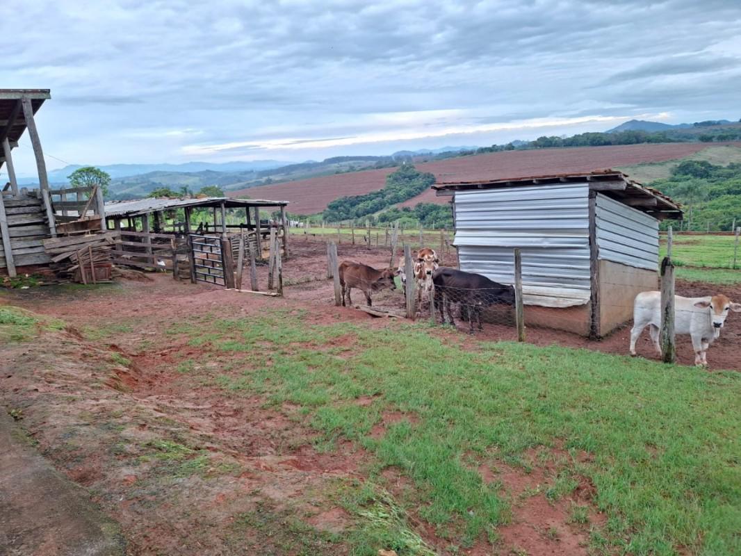 Fazenda, Zona Rural, 0 Quarto, 0 Vaga