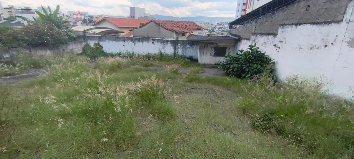 Lote, Santa Cruz Industrial, 0 Quarto, 0 Vaga