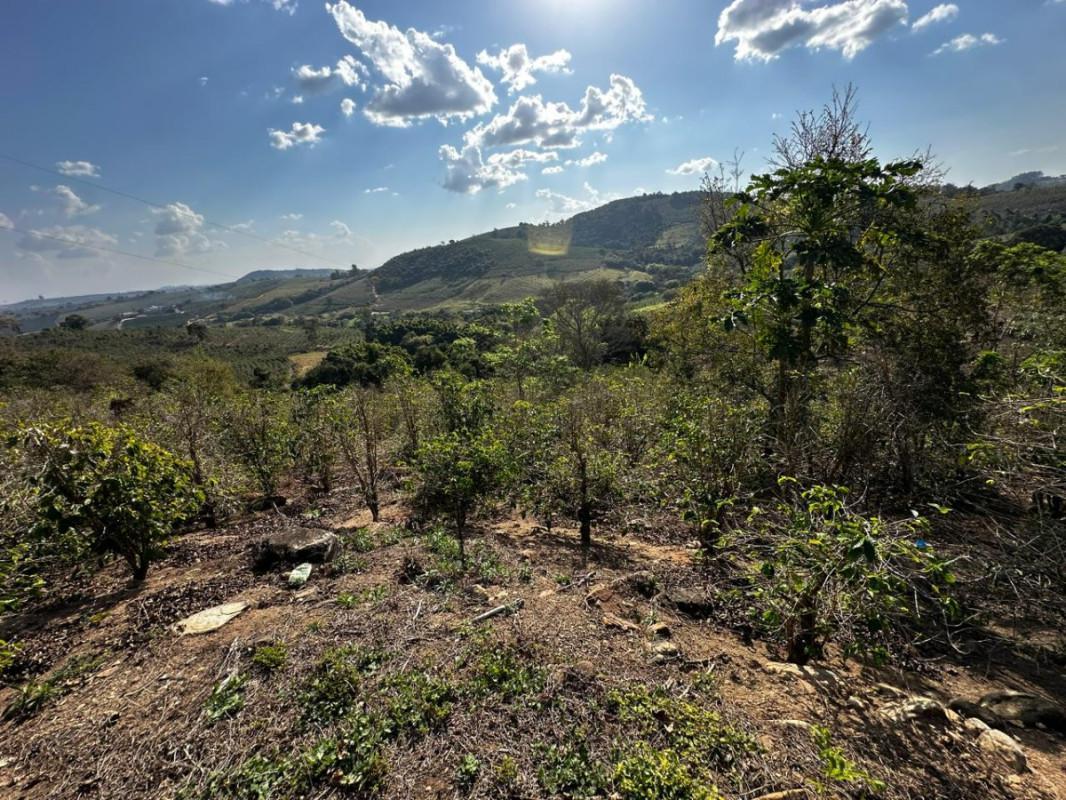 Fazenda, Centro, 0 Quarto, 0 Vaga