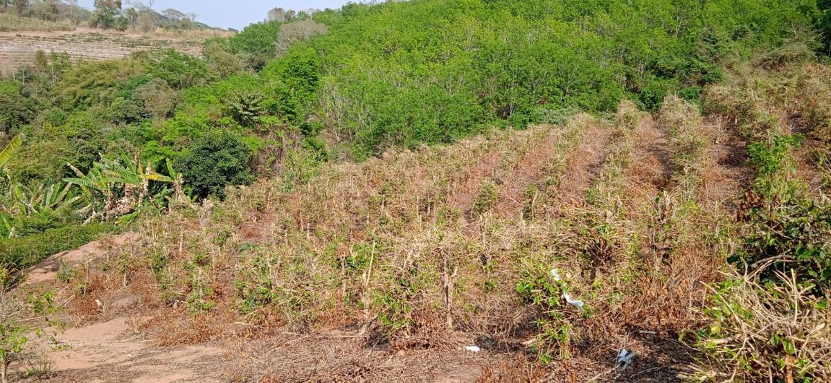 Fazenda, Zona Rural, 0 Quarto, 0 Vaga
