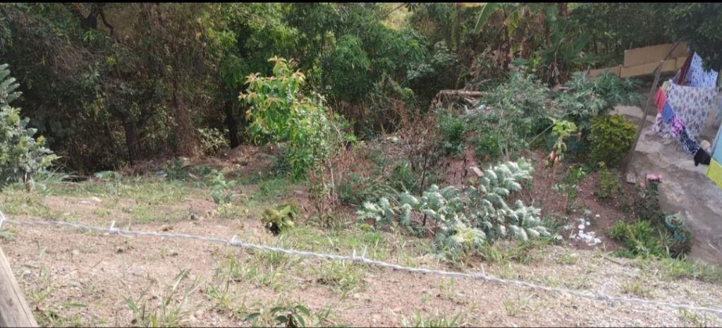 Lote, Vila Rica, 0 Quarto, 0 Vaga