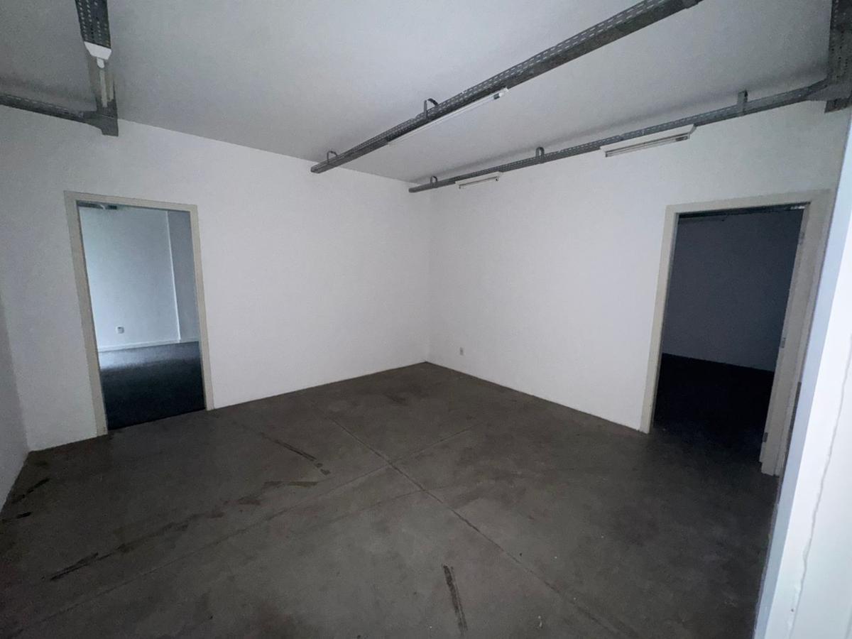 Casa, Floresta, 20 Quartos, 2 Vagas