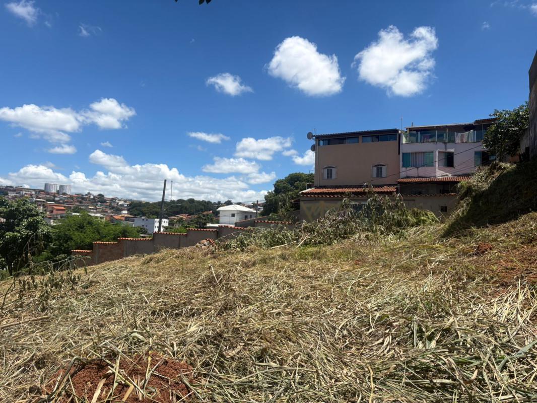 Lote, Santa Mônica, 0 Quarto, 0 Vaga