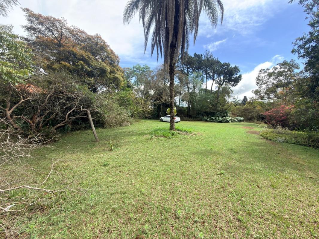 Lote, Lagoa do Miguelão, 0 Quarto, 0 Vaga