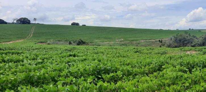 Fazenda, Zona Rural, 3 Quartos, 0 Vaga