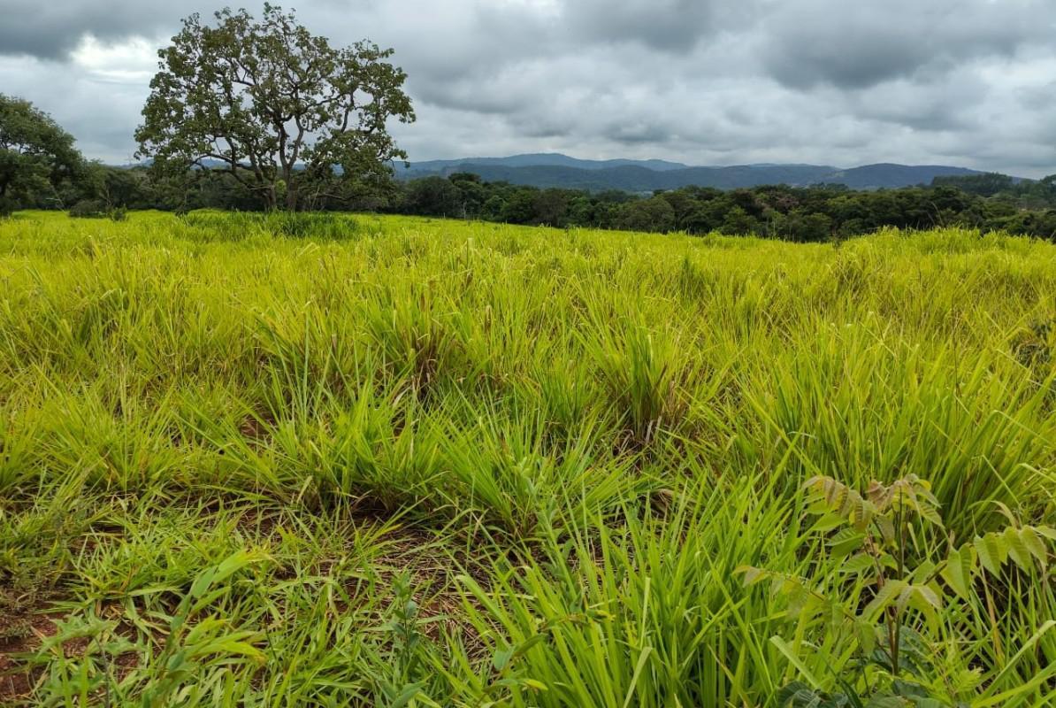Fazenda, Zona Rural, 5 Quartos, 0 Vaga