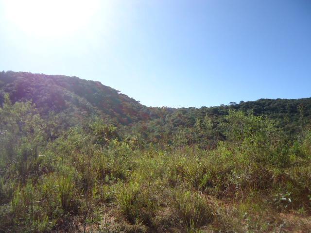 Lote, Santo Antonio do Leite, 1 Quarto, 1 Vaga