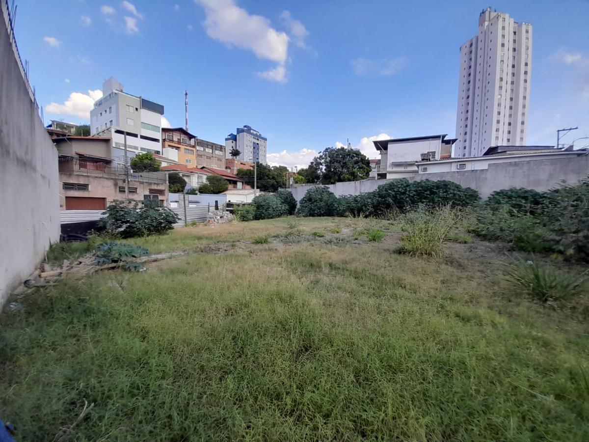 Lote, Floresta, 0 Quarto, 0 Vaga