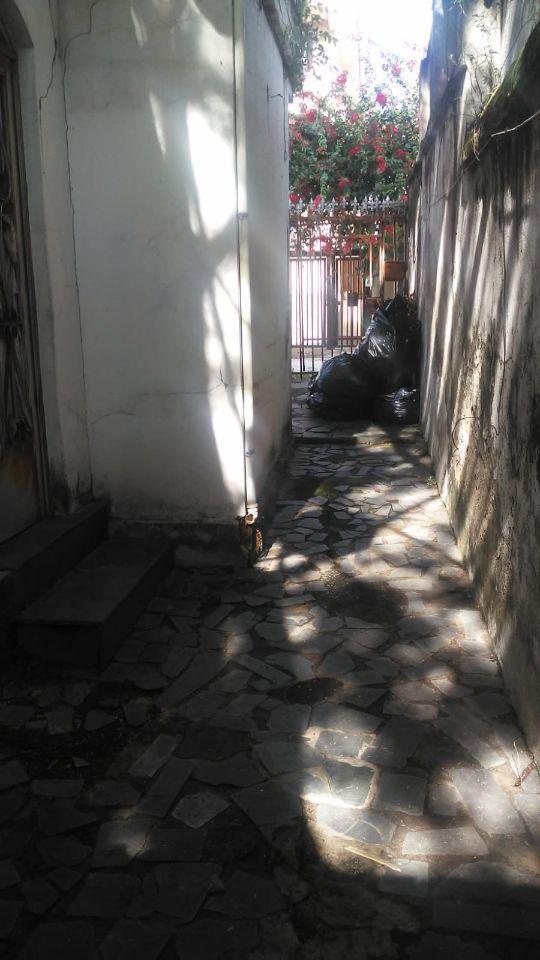 Lote, Ipiranga, 0 Quarto, 0 Vaga