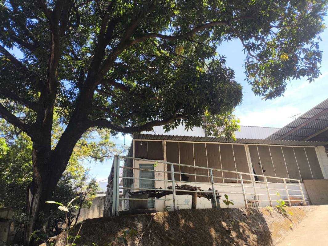 Galpão, São João Batista (venda Nova), 0 Quarto, 5 Vagas