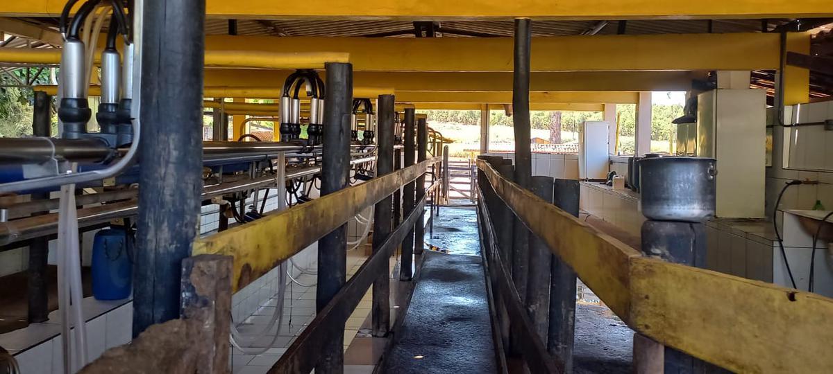 Fazenda, Centro, 4 Quartos, 2 Vagas, 1 Suíte