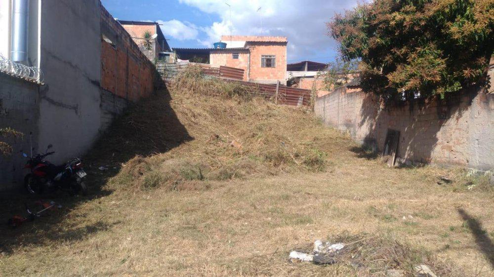 Lote, Cruzeiro do Sul, 0 Quarto, 0 Vaga