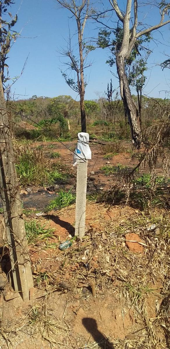 Lote, Campinho, 0 Quarto, 0 Vaga